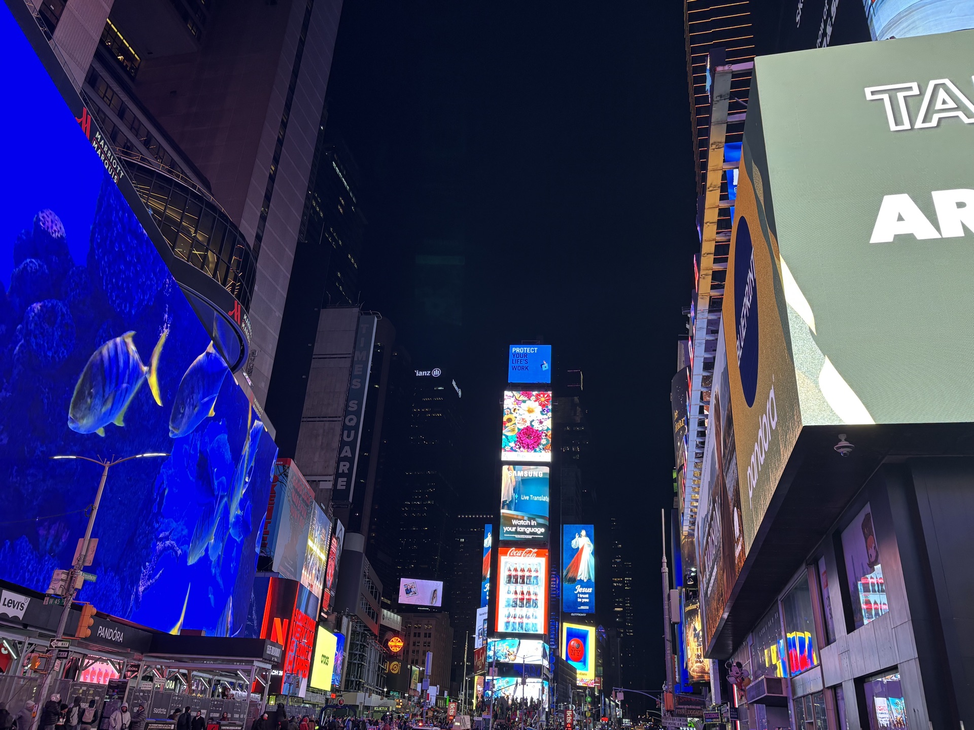 New York moment photo 7