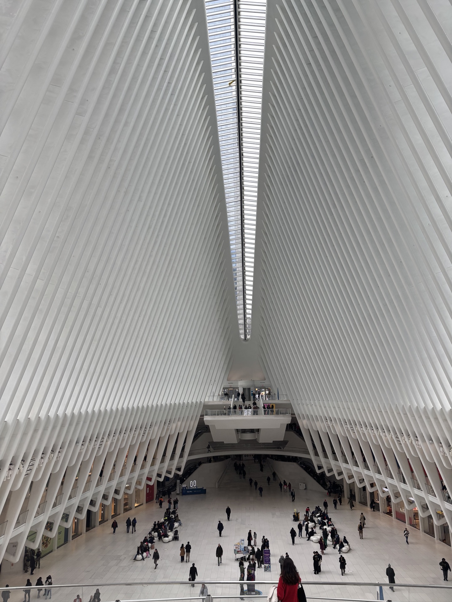 New York moment photo 14