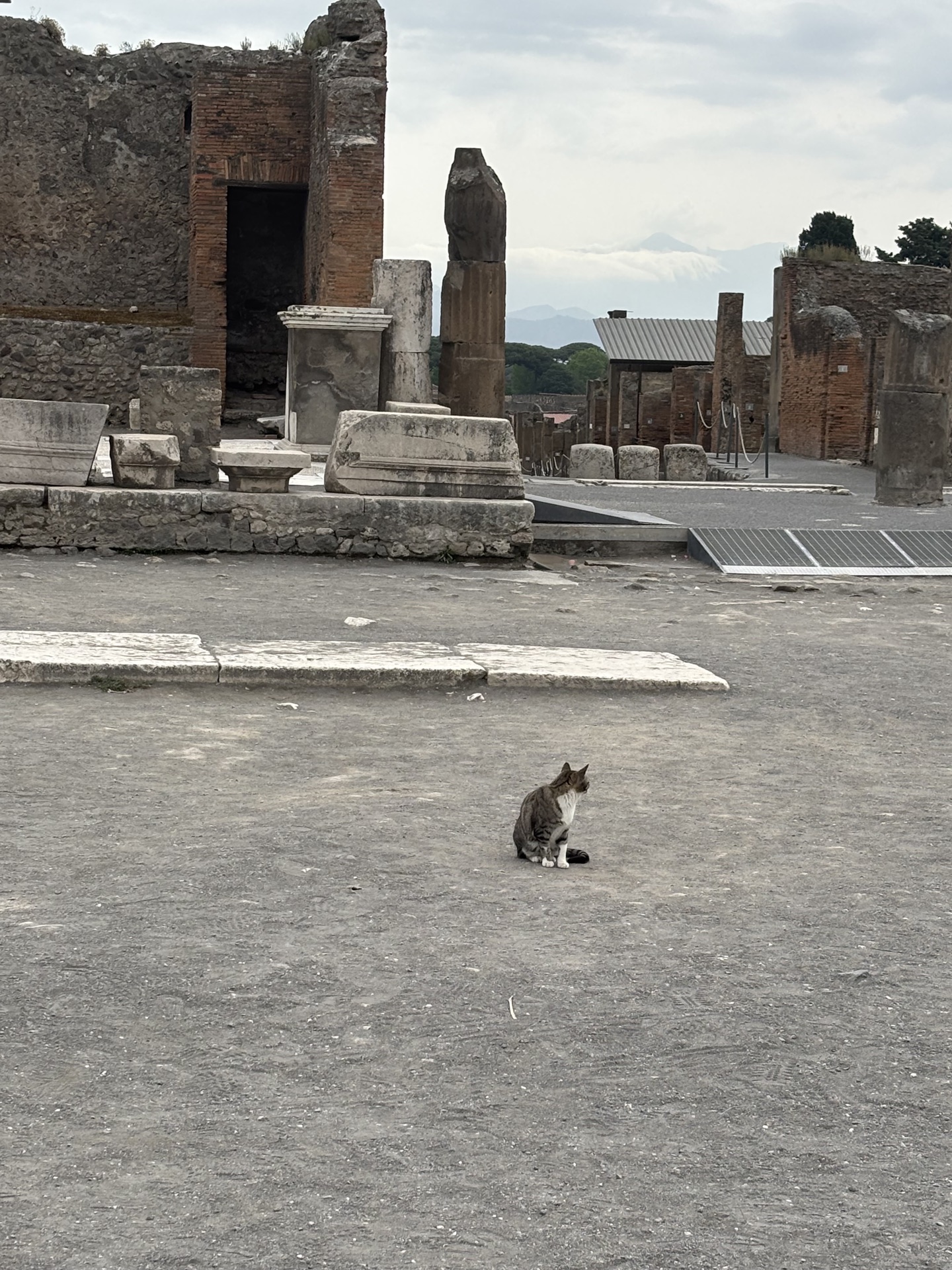 Pompeii moment photo 1