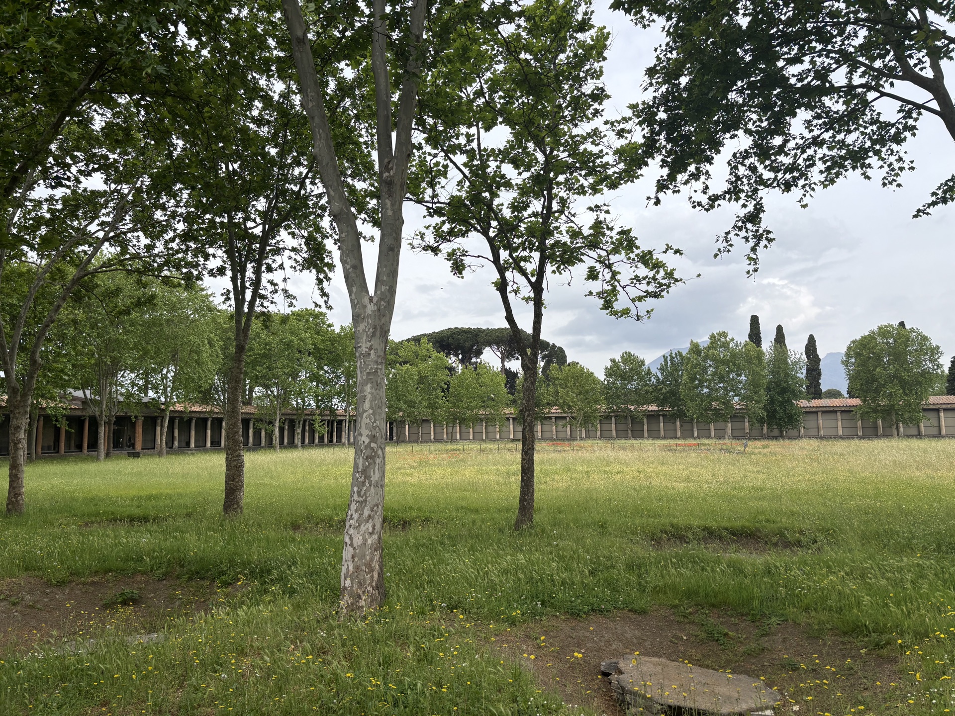 Pompeii moment photo 7